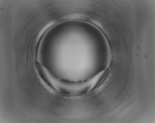 X0000073911426200608181012