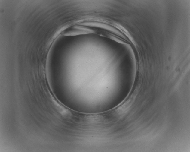 X0000073911433200608181013