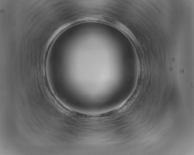 X0000073911436200608181013