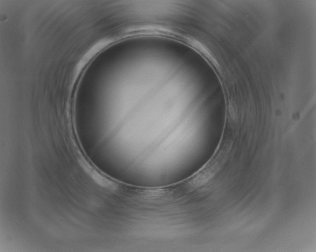 X0000073911482200608181011