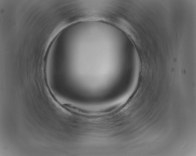 X0000073911484200608181011