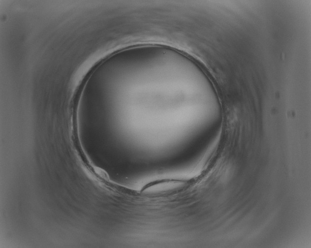 X0000073911511200608181011