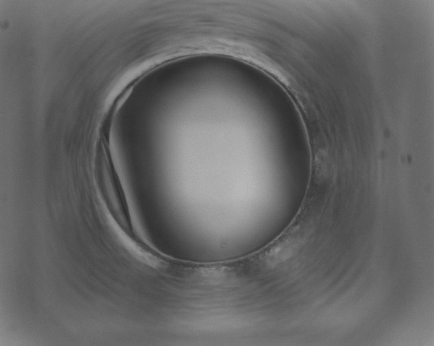 X0000073911523200608181011