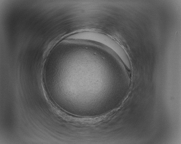 X0000073910001200608251535
