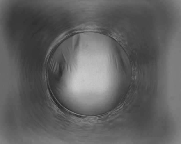 X0000073910004200608251535