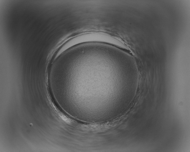 X0000073910005200608251535