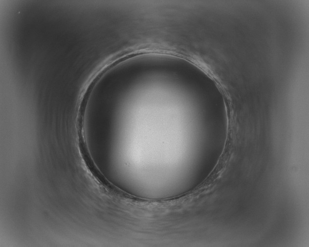 X0000073910007200608251535