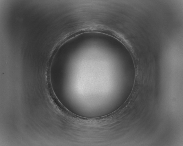 X0000073910010200608251535