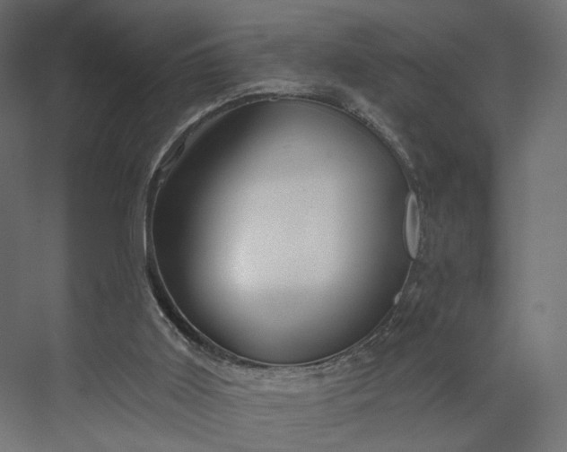 X0000073910011200608251535