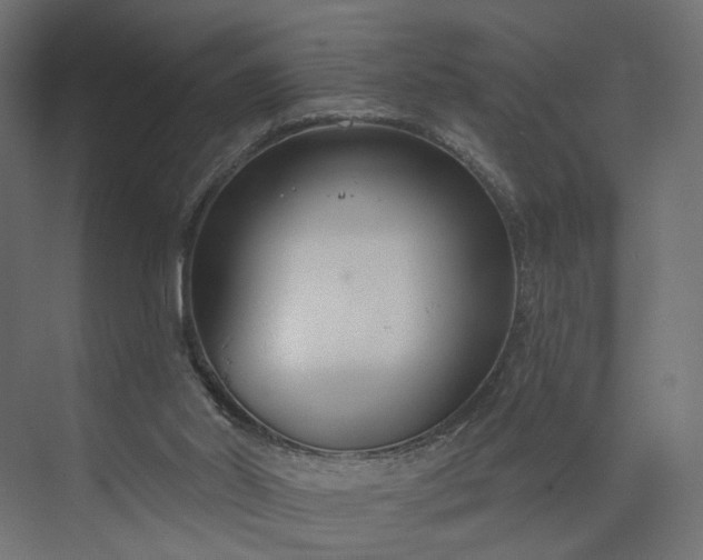 X0000073910014200608251535