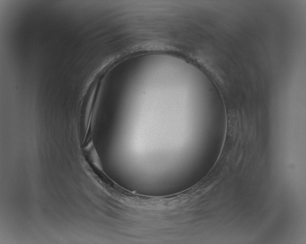 X0000073910015200608251535