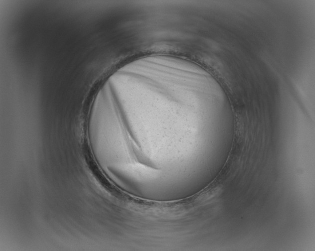 X0000073910016200608251535
