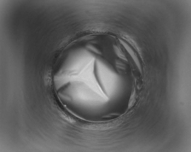 X0000073910017200608251535