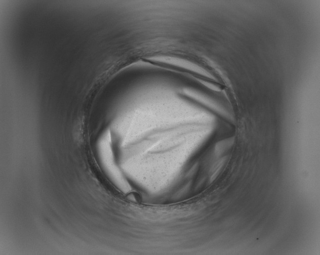X0000073910018200608251535