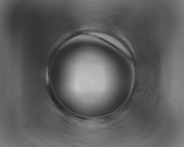 X0000073910020200608251535