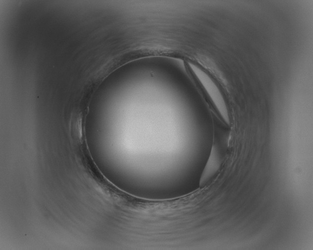 X0000073910021200608251535