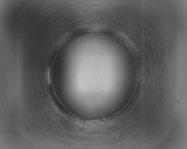 X0000073910022200608251535