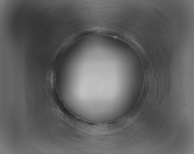 X0000073910024200608251535