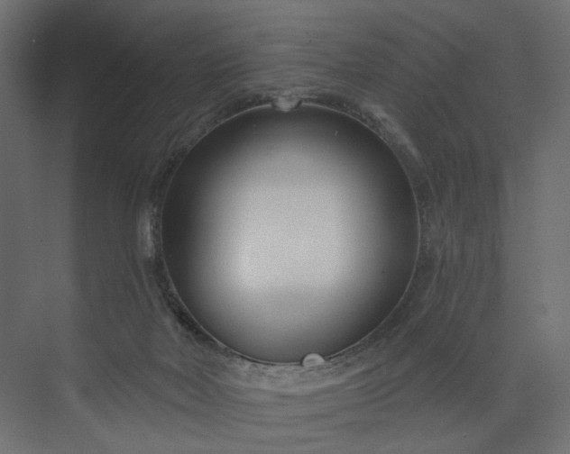 X0000073910026200608251535