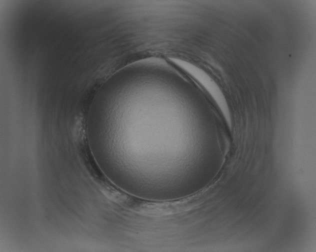 X0000073910029200608251535