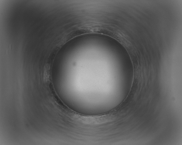 X0000073910030200608251535