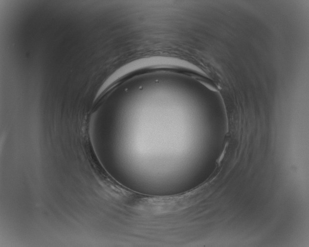 X0000073910033200608251535