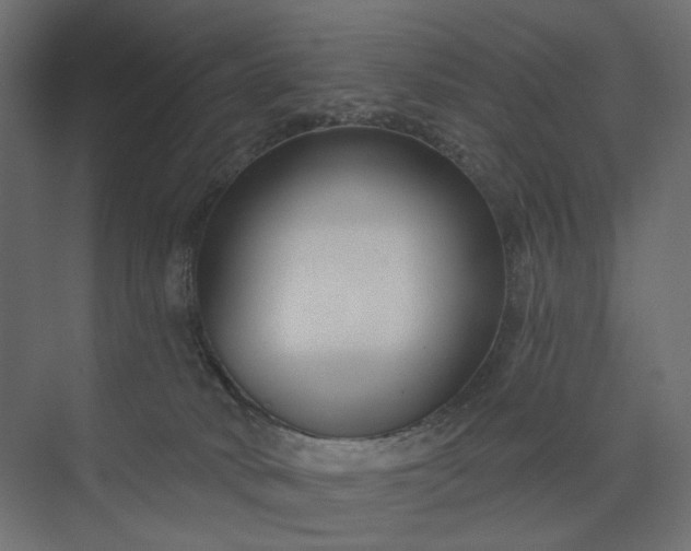 X0000073910034200608251535