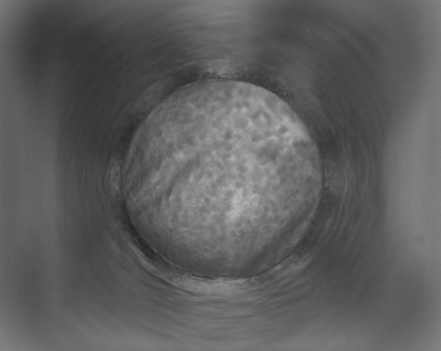 X0000073910036200608251535