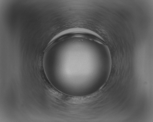 X0000073910037200608251535