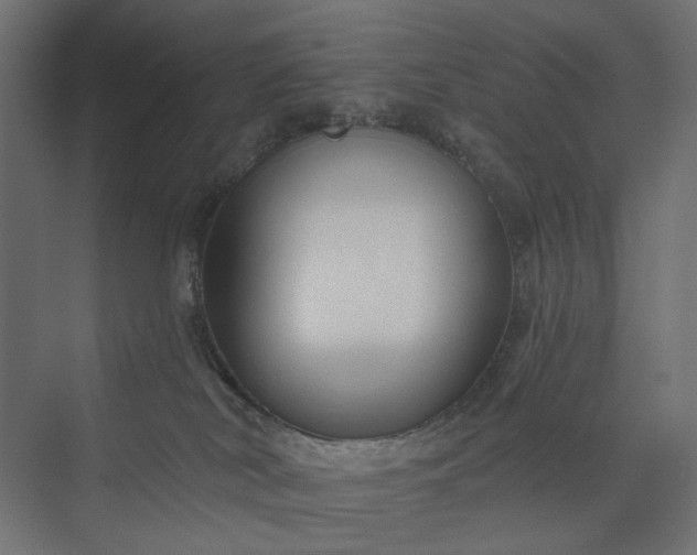 X0000073910038200608251535