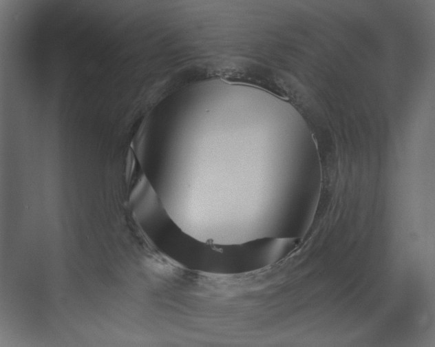 X0000073910041200608251535