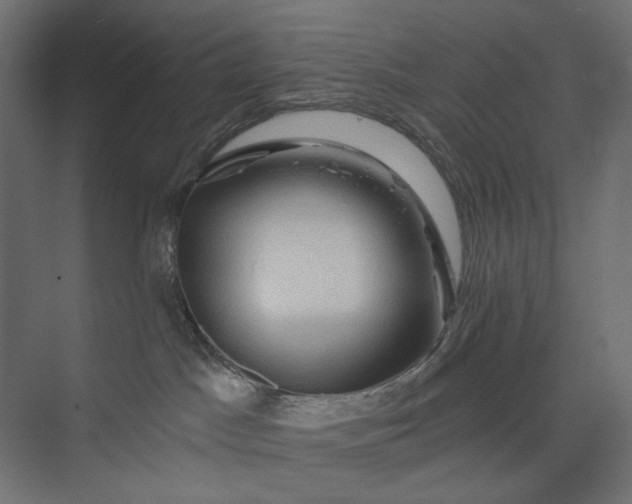 X0000073910045200608251535