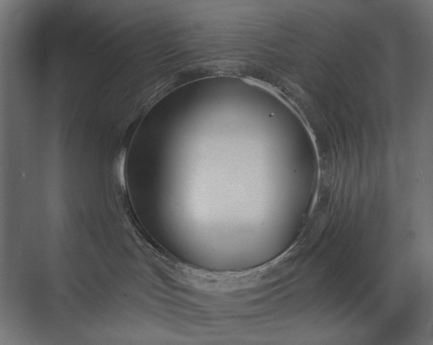 X0000073910047200608251535