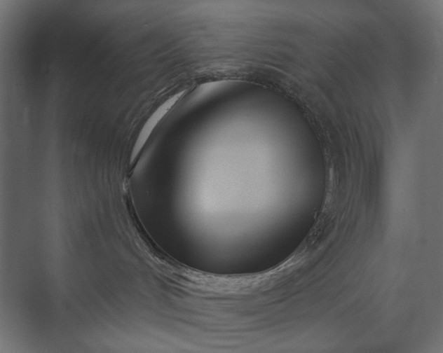 X0000073910048200608251535