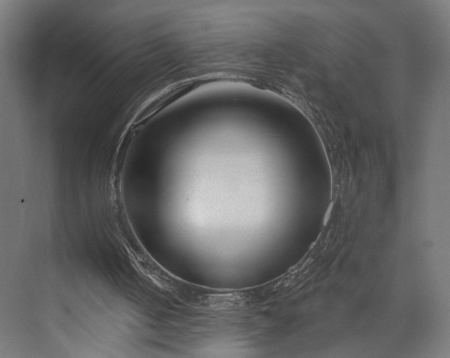 X0000073910050200608251534