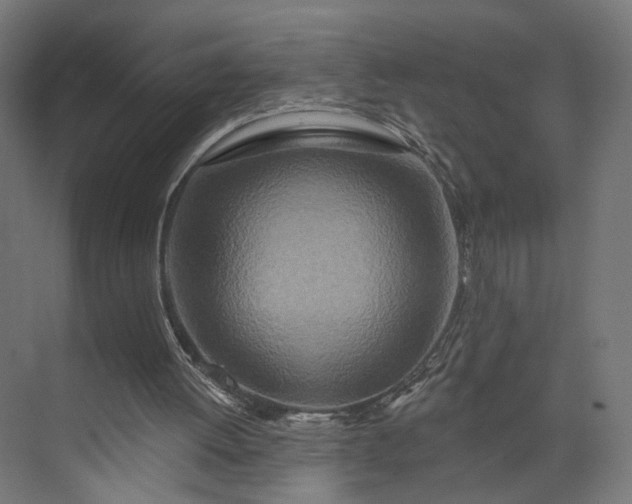 X0000073910052200608251534