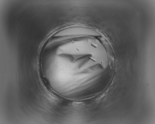 X0000073910055200608251534