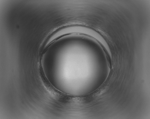 X0000073910064200608251534