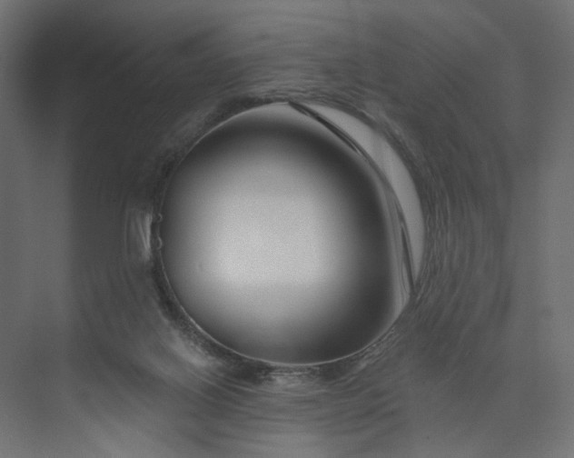 X0000073910070200608251534