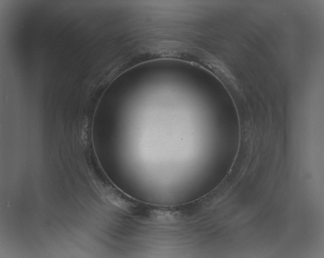 X0000073910073200608251534