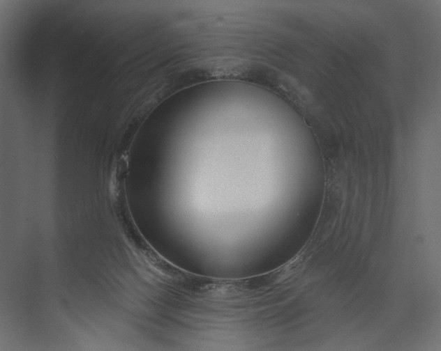 X0000073910074200608251534