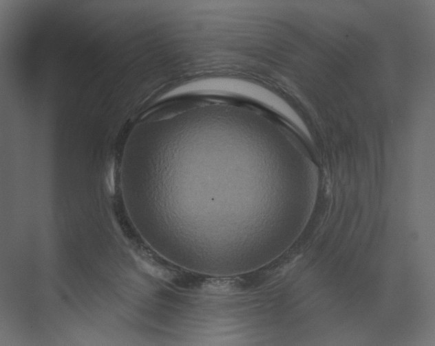 X0000073910076200608251534