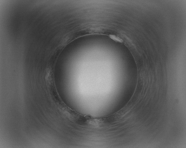 X0000073910079200608251534