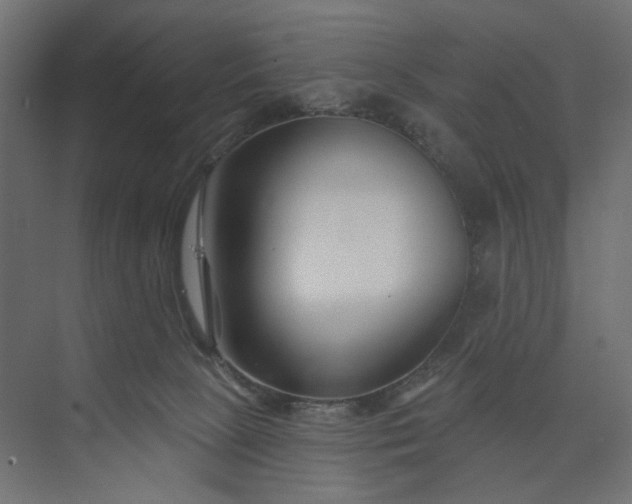 X0000073910081200608251534