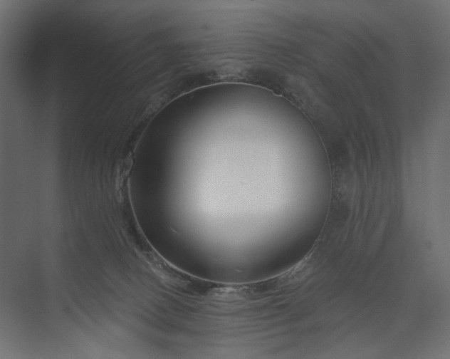 X0000073910082200608251534