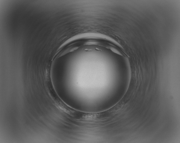 X0000073910084200608251534