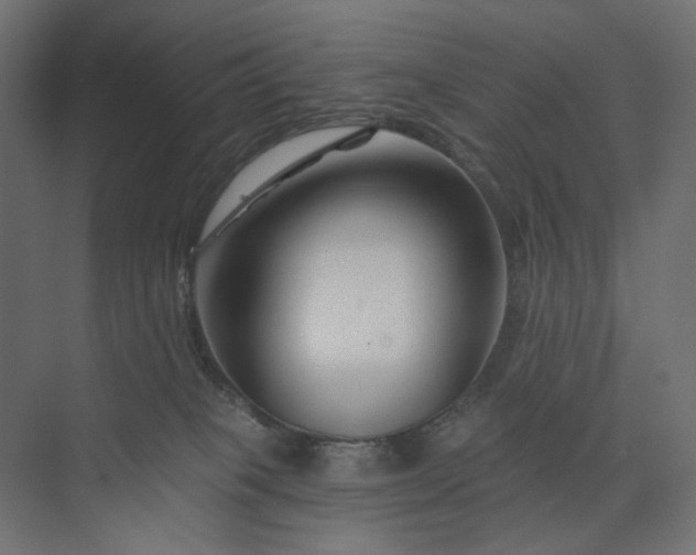 X0000073910085200608251534