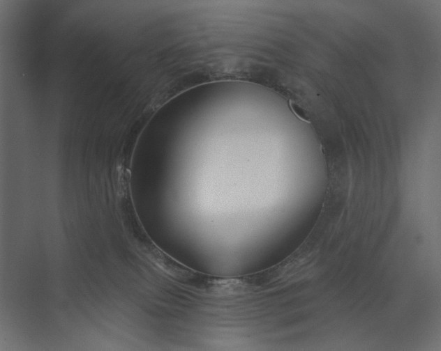 X0000073910087200608251534