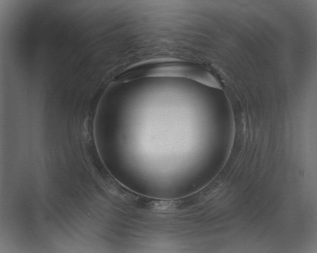X0000073910088200608251534