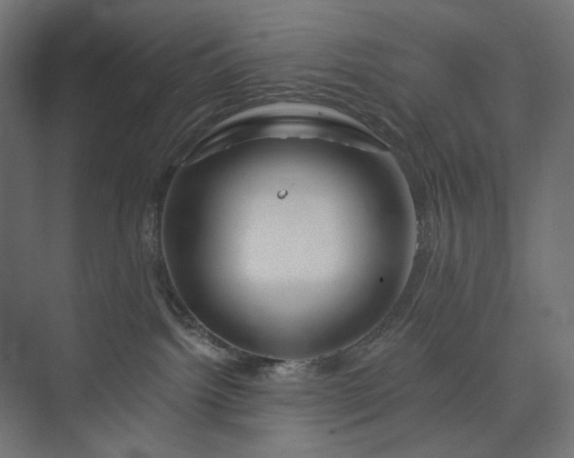 X0000073910092200608251534